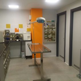 veterinaria itruvet pamplona14-min