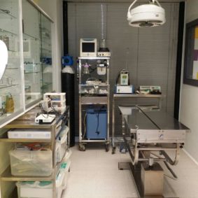 veterinaria itruvet pamplona3-min