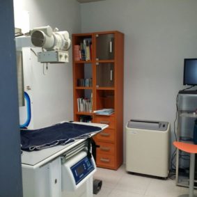 veterinaria itruvet pamplona7-min