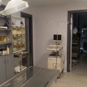 veterinaria itruvet pamplona9-min